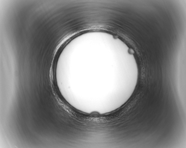 X0000103430936200810031348