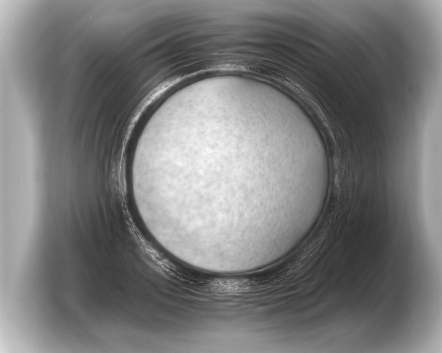 X0000103430939200810031348