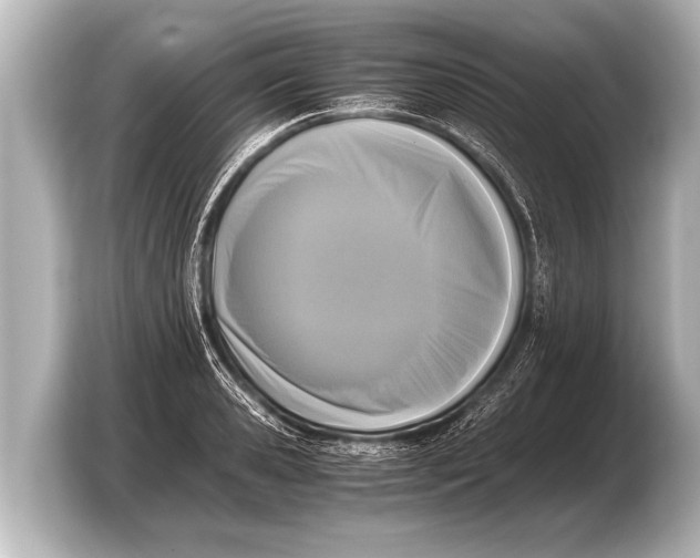 X0000103430941200810031348