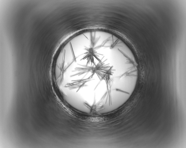 X0000103430943200810031348