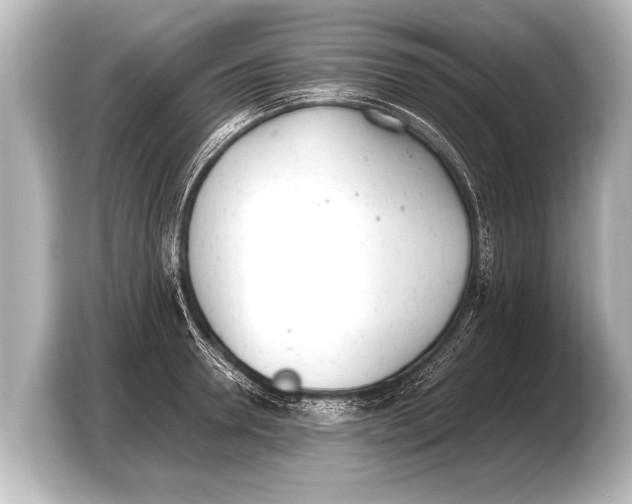 X0000103430946200810031348