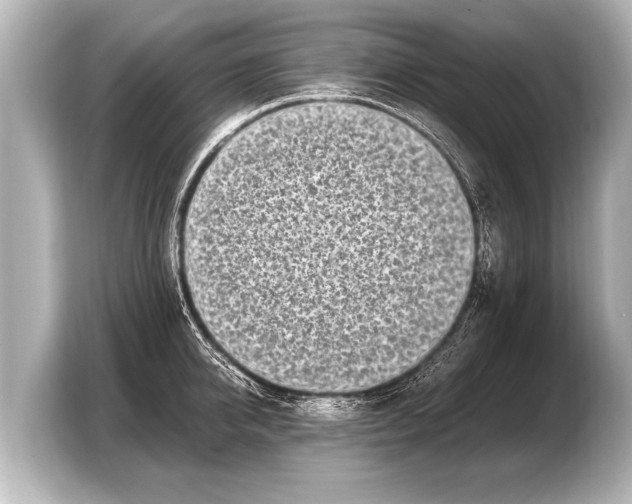 X0000103430950200810031348