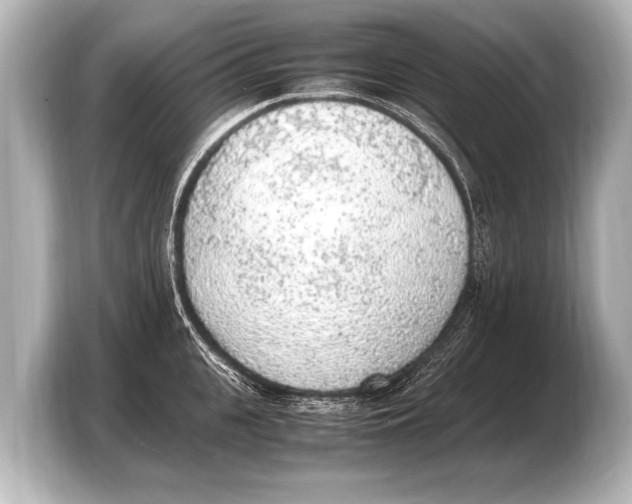 X0000103430951200810031348