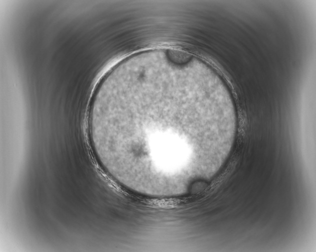 X0000103430952200810031348