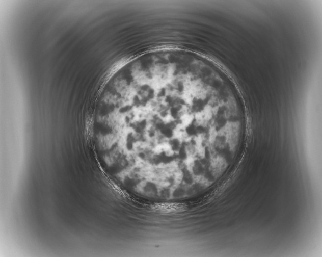 X0000103430953200810031348