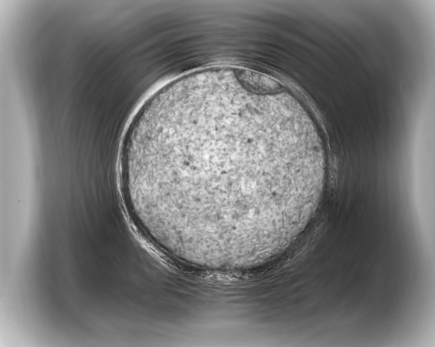 X0000103430955200810031348