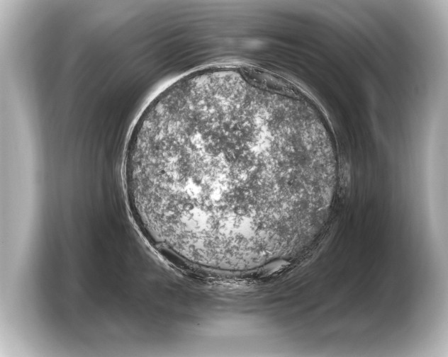 X0000103430959200810031348