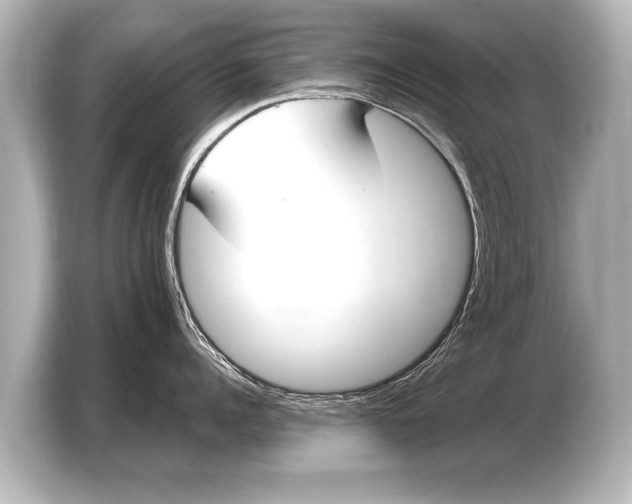 X0000103430960200810031348