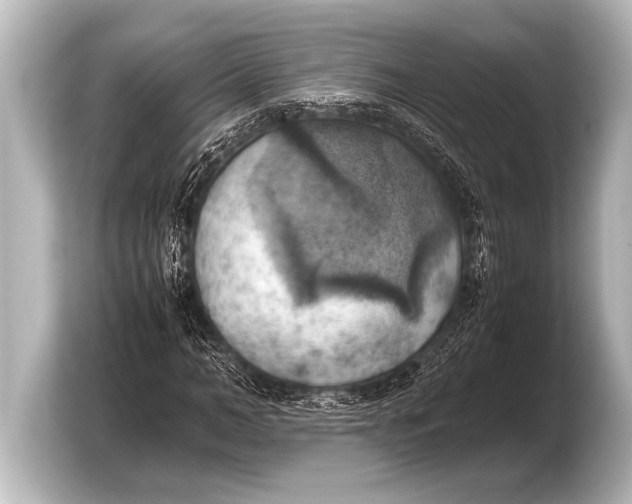 X0000103430966200810031347