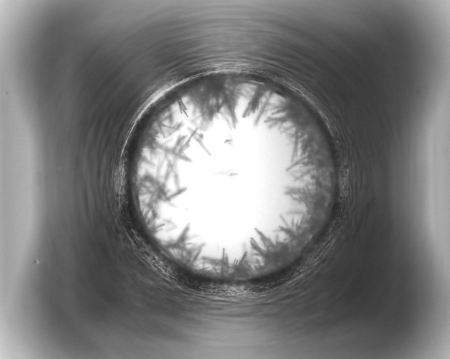 X0000103430975200810031347