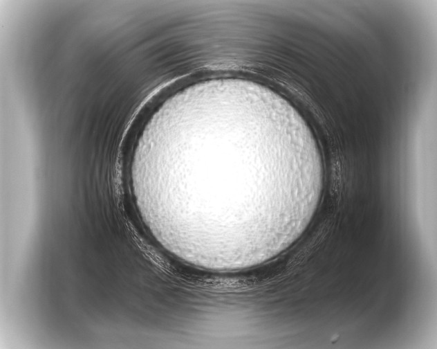 X0000103430976200810031347