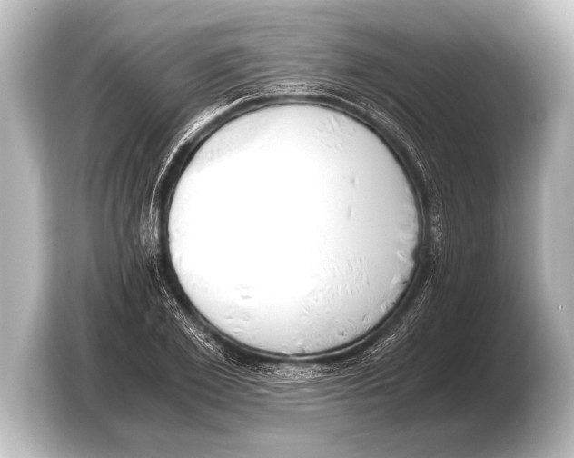 X0000103430981200810031347