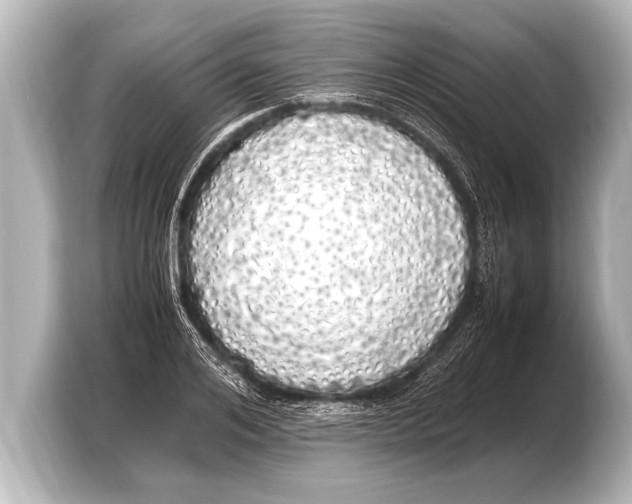 X0000103430984200810031347