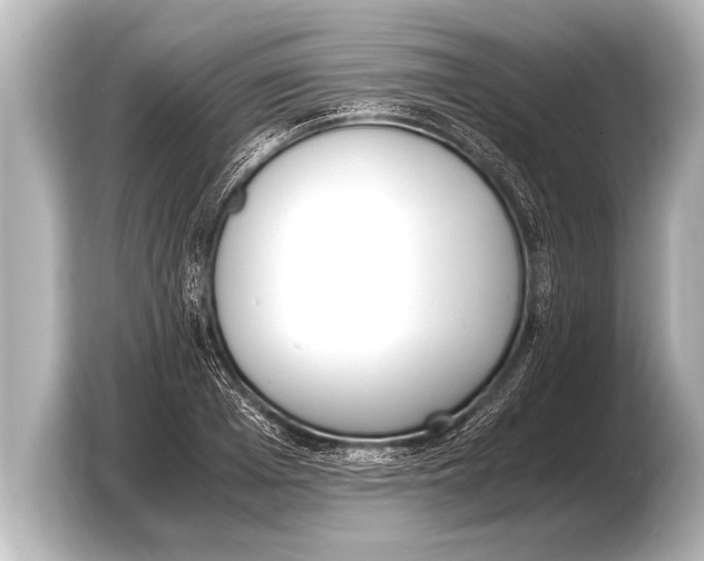 X0000103430985200810031347