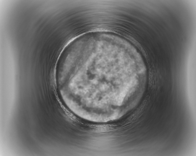 X0000103430988200810031347