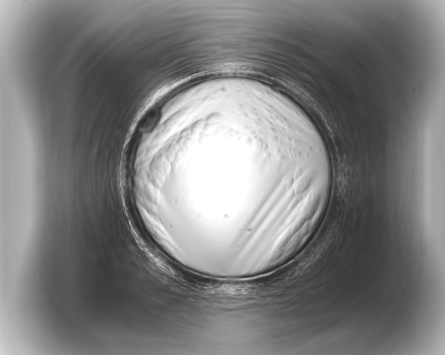 X0000103430989200810031347