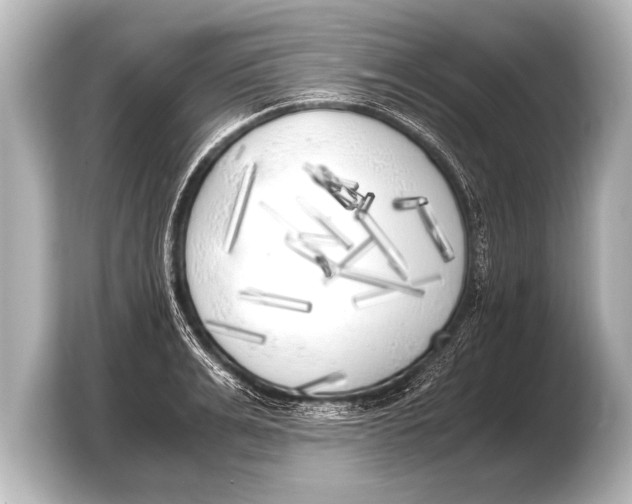 X0000103430991200810031347