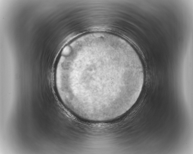 X0000103430992200810031347