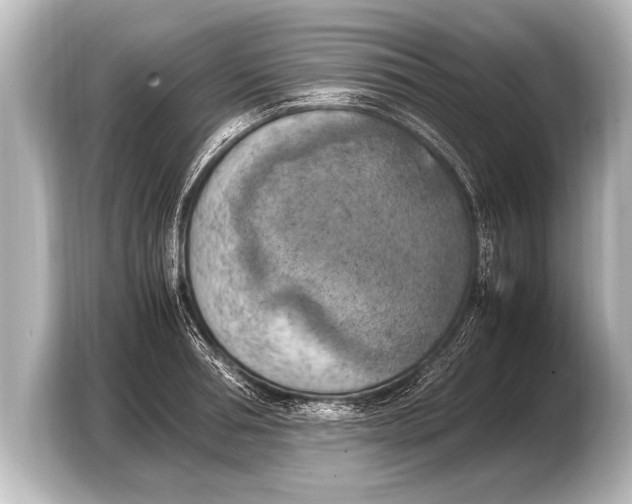 X0000103430994200810031347