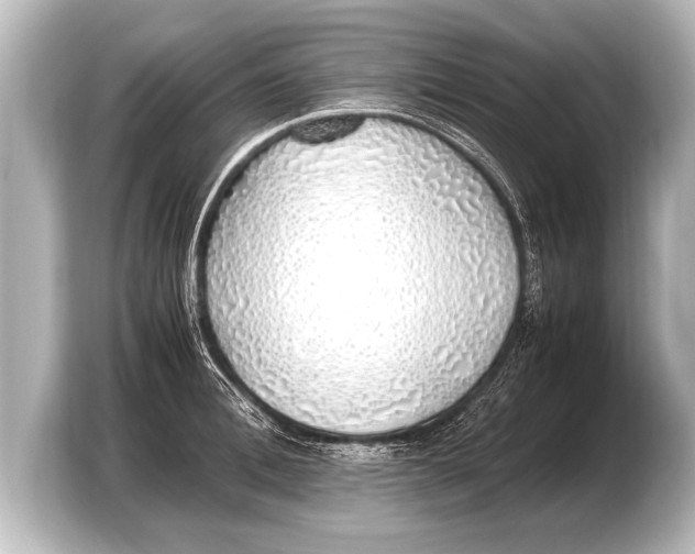 X0000103430996200810031347