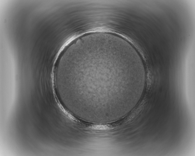 X0000103430998200810031347