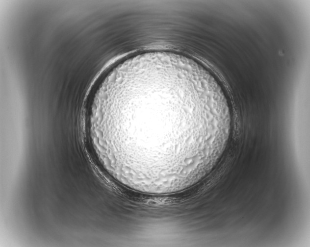 X0000103431000200810031347