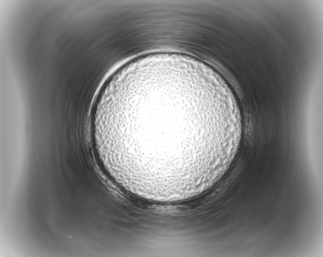 X0000103431004200810031347