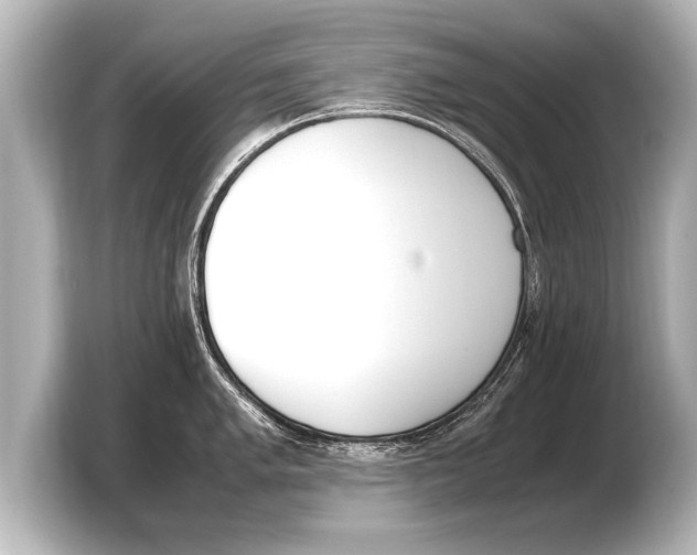 X0000103431005200810031347