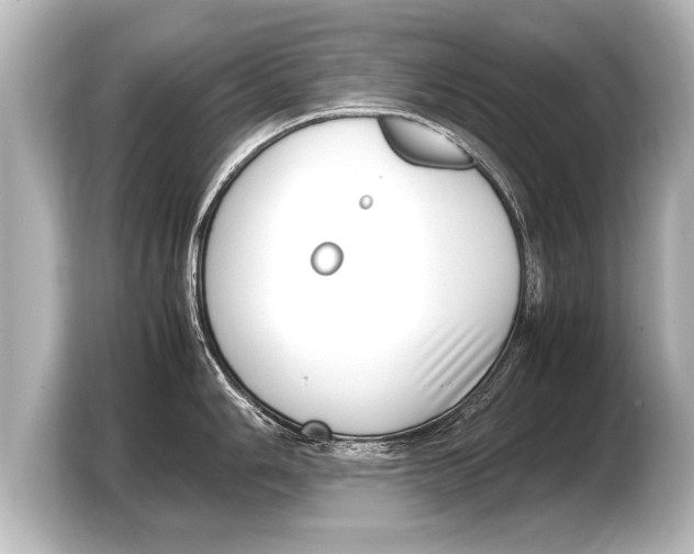 X0000103431006200810031347