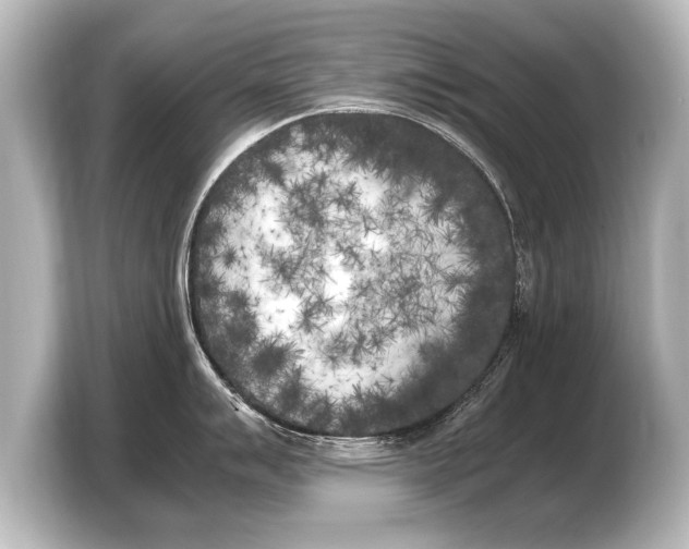 X0000103431007200810031347