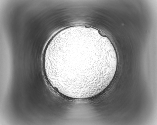 X0000103431008200810031347