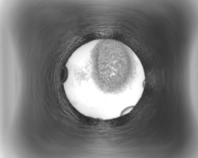 X0000103431009200810031346