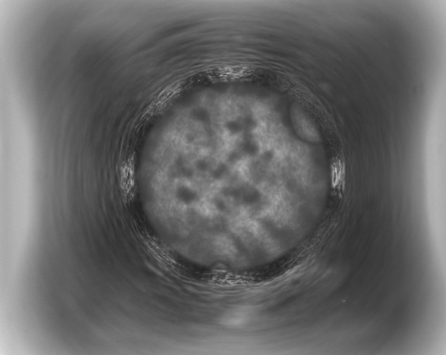 X0000103431011200810031346