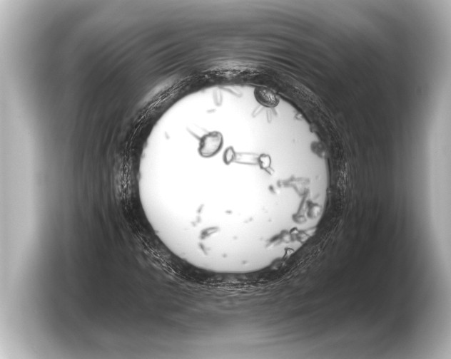 X0000103431014200810031346