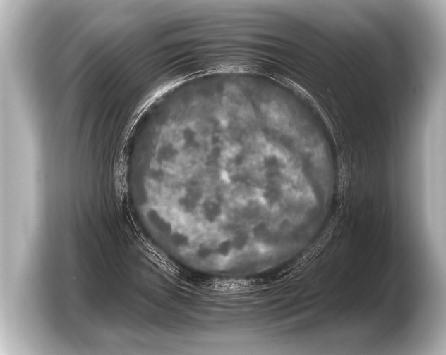 X0000103431019200810031346