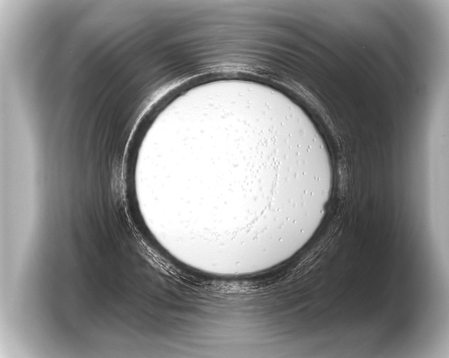 X0000103431020200810031346