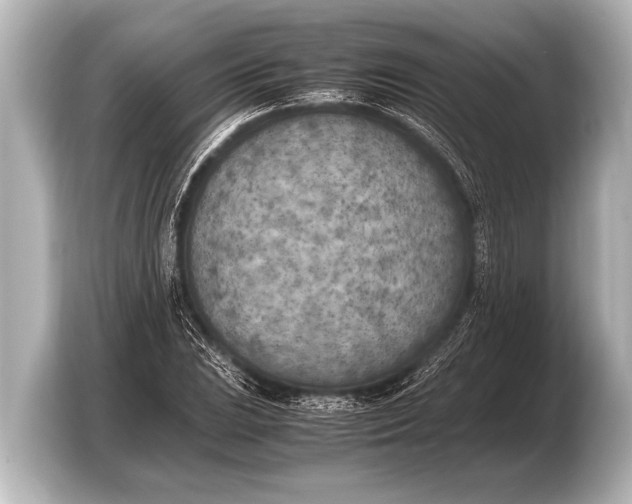 X0000103431023200810031346