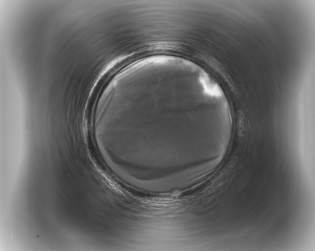 X0000103431024200810031346