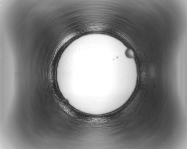 X0000103431026200810031346