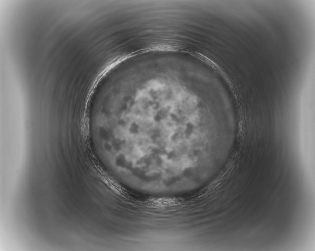 X0000103431027200810031346