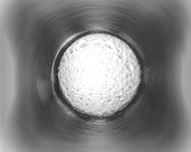 X0000103431028200810031346