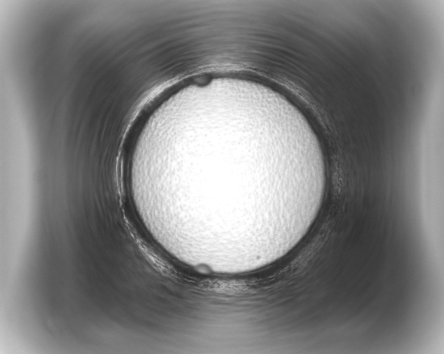 X0000103431030200810031346