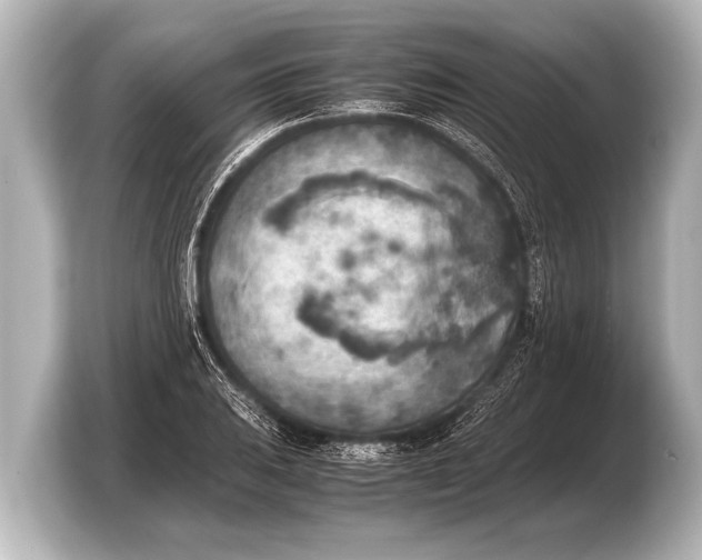 X0000103431031200810031346