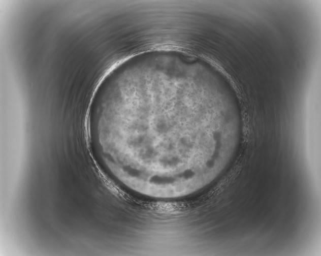 X0000103431032200810031347