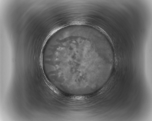 X0000103431035200810031347