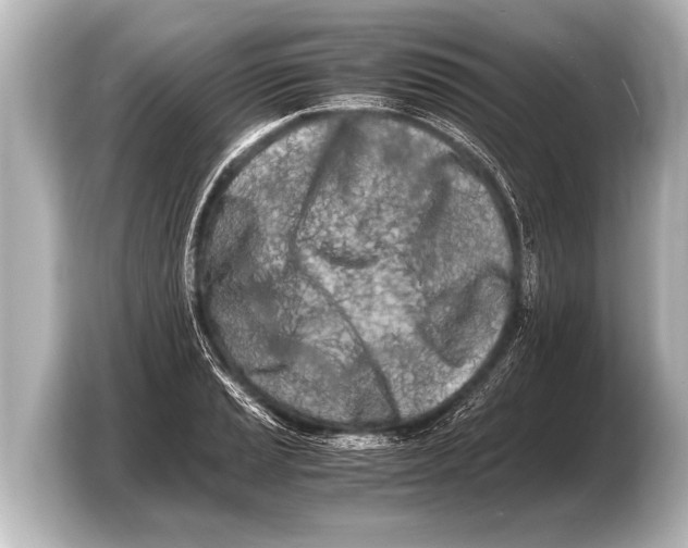 X0000103431037200810031347