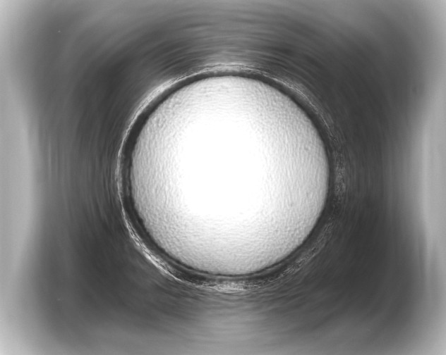 X0000103431038200810031347