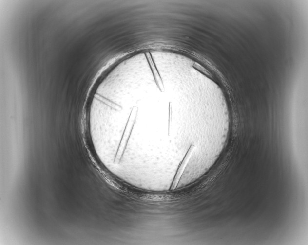 X0000103431040200810031347