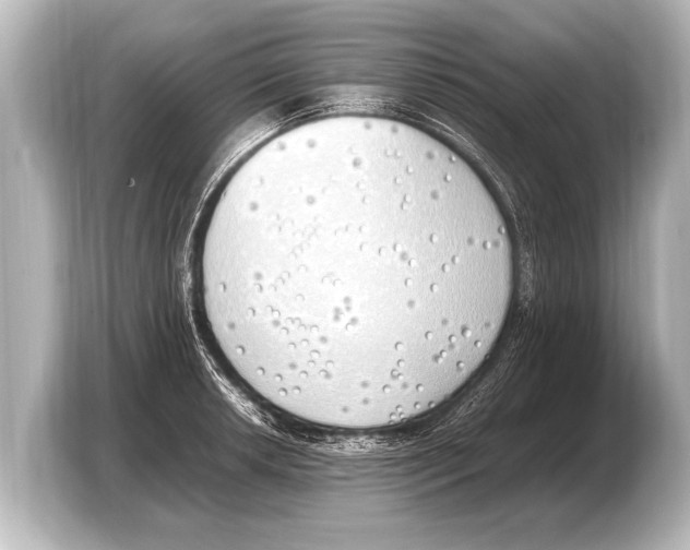 X0000103431042200810031347