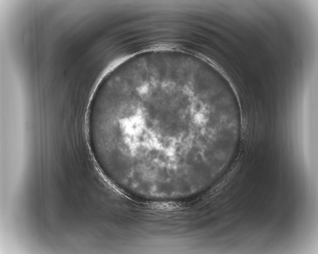 X0000103431045200810031347